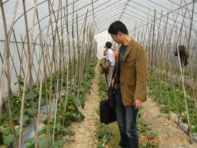 苦參堿殺菌劑——綠色植保新選擇，誠(chéng)邀廣東地區(qū)經(jīng)銷(xiāo)商合作共贏(yíng)