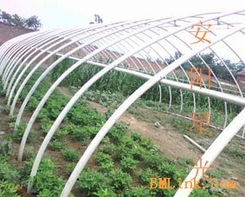 供應(yīng)新型大棚支架 安陽(yáng)星光種植技術(shù)開(kāi)發(fā)引領(lǐng)農(nóng)業(yè)現(xiàn)代化