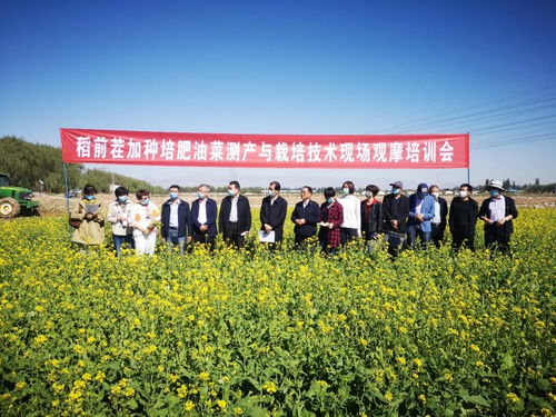 飼料綠肥油菜種植加工綜合利用關(guān)鍵技術(shù)研究與示范現(xiàn)場(chǎng)觀(guān)摩會(huì)成功舉辦，助推種植技術(shù)開(kāi)發(fā)與集成應(yīng)用