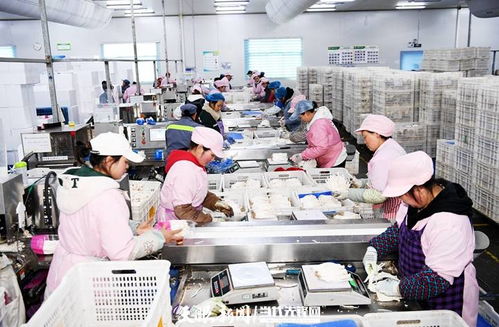 日產(chǎn)量達(dá)70噸，產(chǎn)值60余萬(wàn)元 工廠(chǎng)化種植食用菌助農(nóng)增收的技術(shù)開(kāi)發(fā)與實(shí)踐