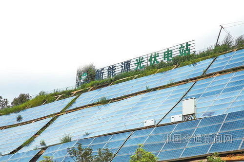 云南交投集團(tuán) 以新質(zhì)生產(chǎn)力賦能綠美通道經(jīng)濟(jì)，推動(dòng)種植技術(shù)開(kāi)發(fā)創(chuàng)新