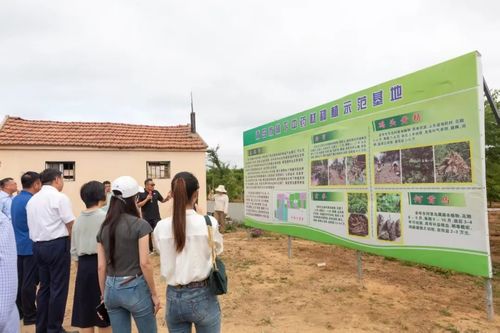 綠富雙贏 全市林下經(jīng)濟(jì)產(chǎn)業(yè)發(fā)展觀摩活動暨種植技術(shù)開發(fā)新篇章