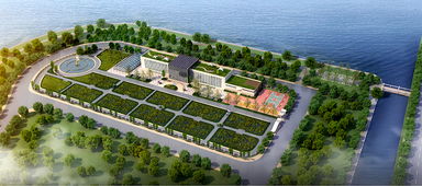 青島海水稻研發(fā)中心揭牌，首代稻種預(yù)計11月問世，技術(shù)開發(fā)引領(lǐng)農(nóng)業(yè)新篇章